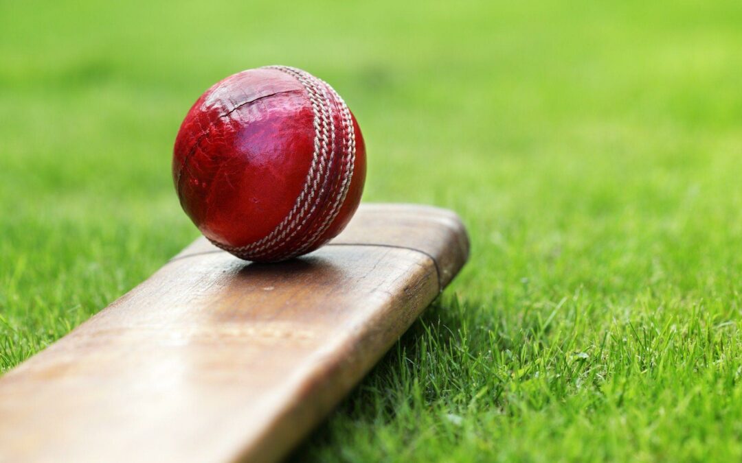 Innovative Marketing Strategy: Taking Advantage of the Cricket Madness